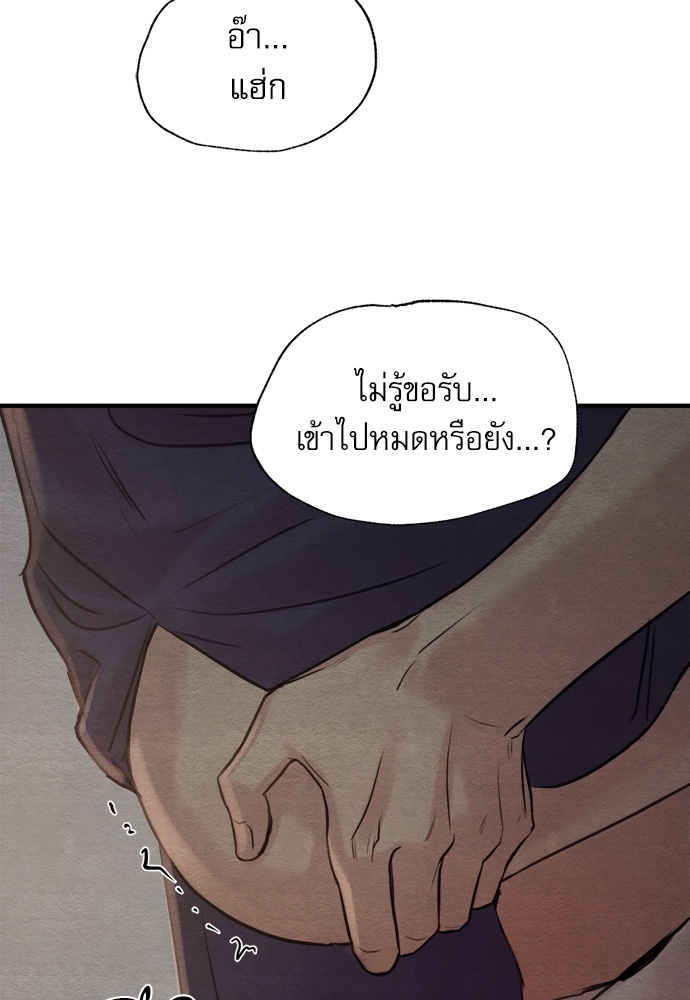 Painter of the Night 72 50